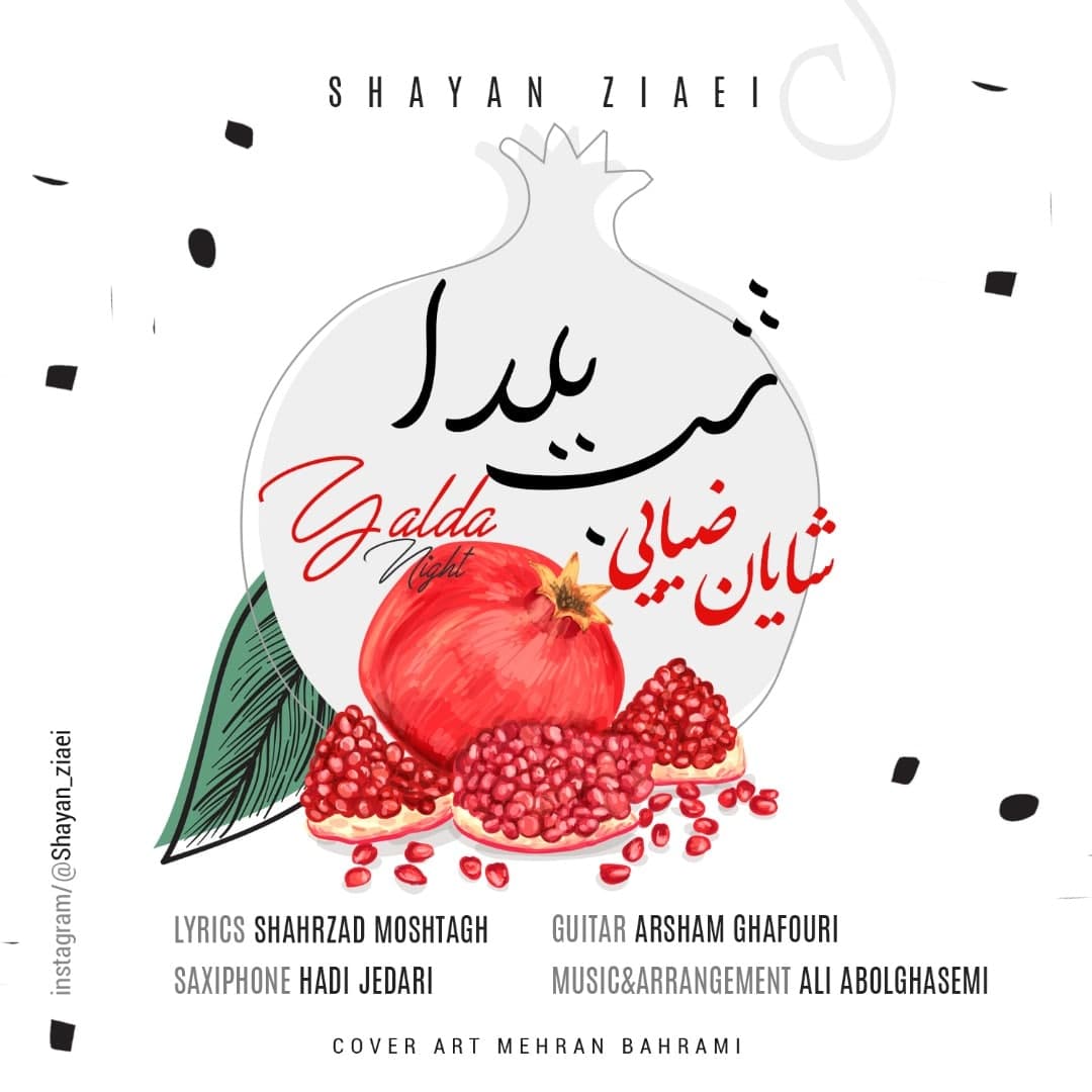 شایان ضیایی – شب یلدا