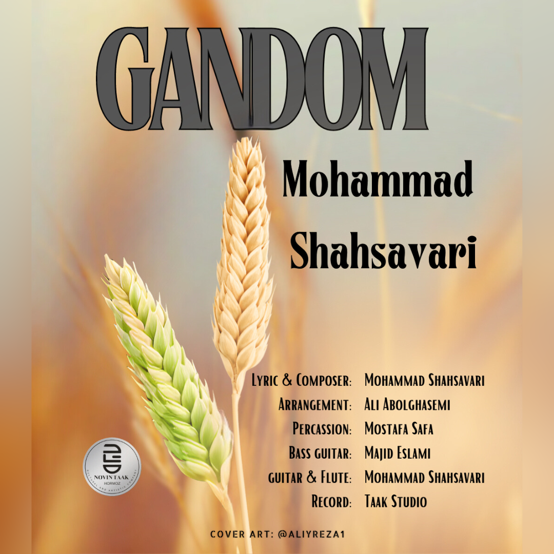 آهنگ جدید از محمد شهسواری به نام گندم (Gandom)