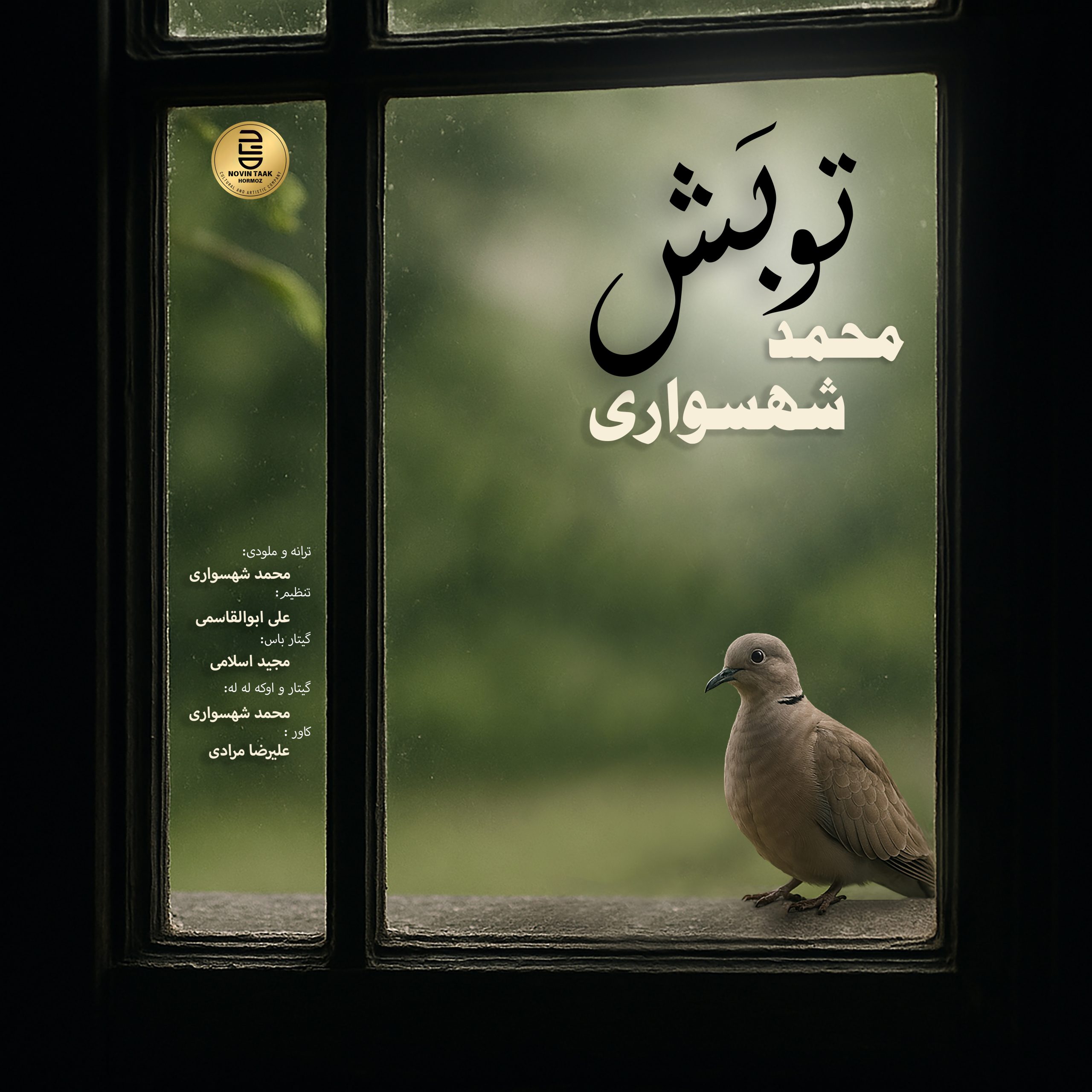 آهنگ زیبا و احساسی به نام تو بَش از محمد شهسواری
